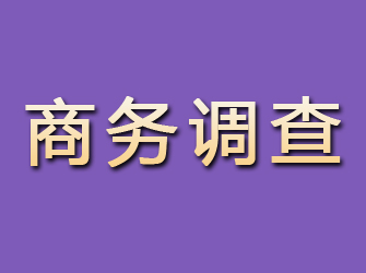 延川商务调查